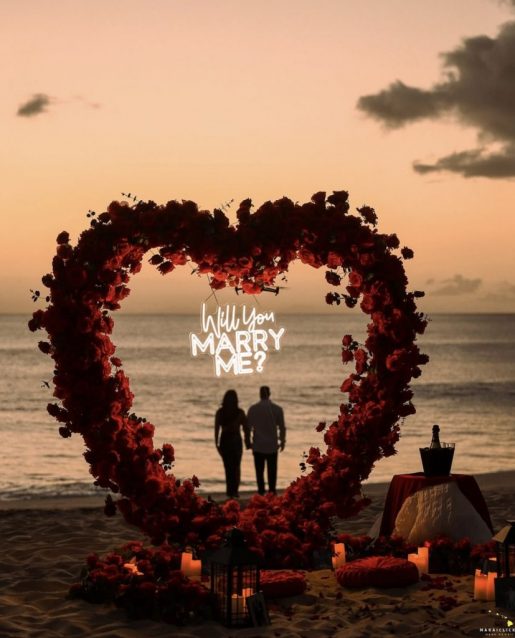 Heart Proposal